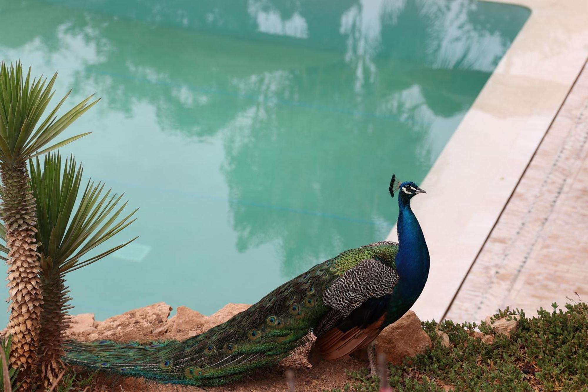 Paradis Nomade 3* Azrarag